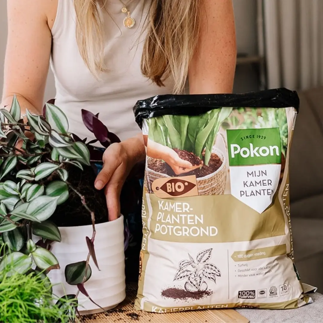 Pokon Bio Kamerplanten Potgrond 10L - Turfvrij - afbeelding 4 van 6