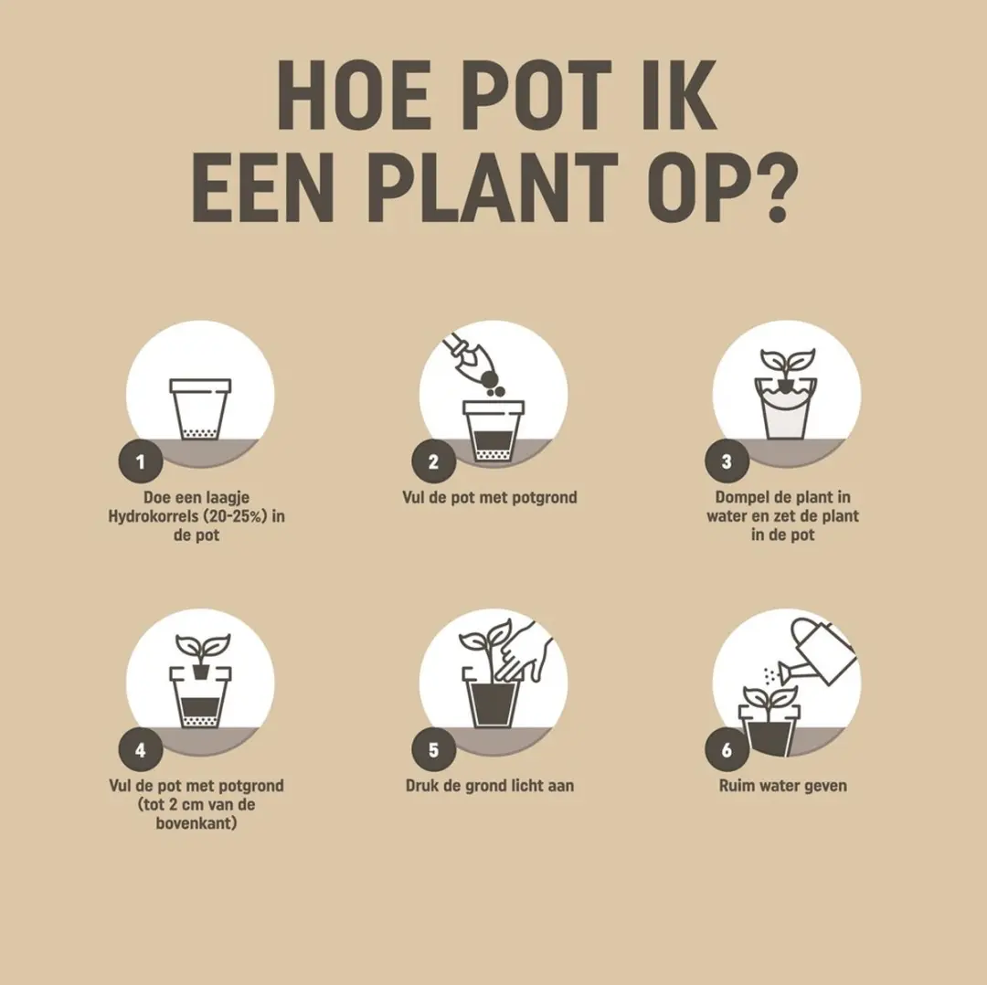 Pokon Bio Kamerplanten Potgrond 10L - Turfvrij - afbeelding 6 van 6
