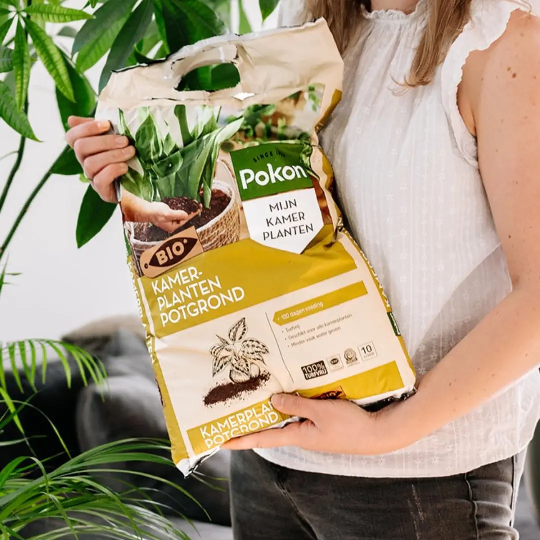 Pokon Bio Kamerplanten Potgrond 10L - Turfvrij - afbeelding 3 van 6