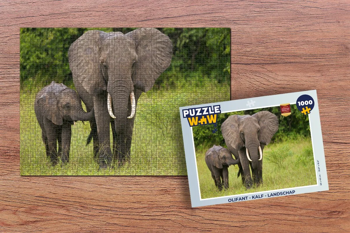 PuzzleWow Olifant Landschap Legpuzzel 1000 Stuks - Multicolor