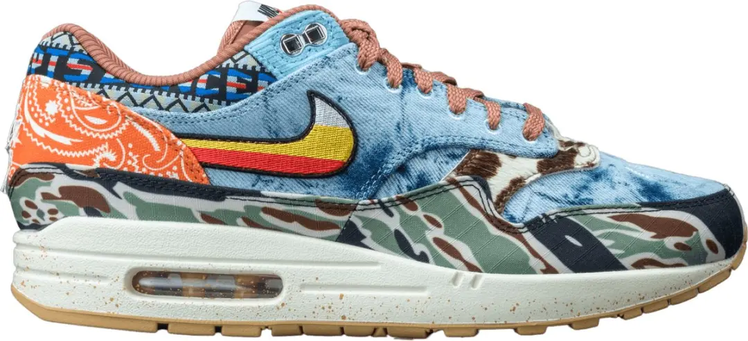 Nike Air Max 1 SP Concepts Heavy
