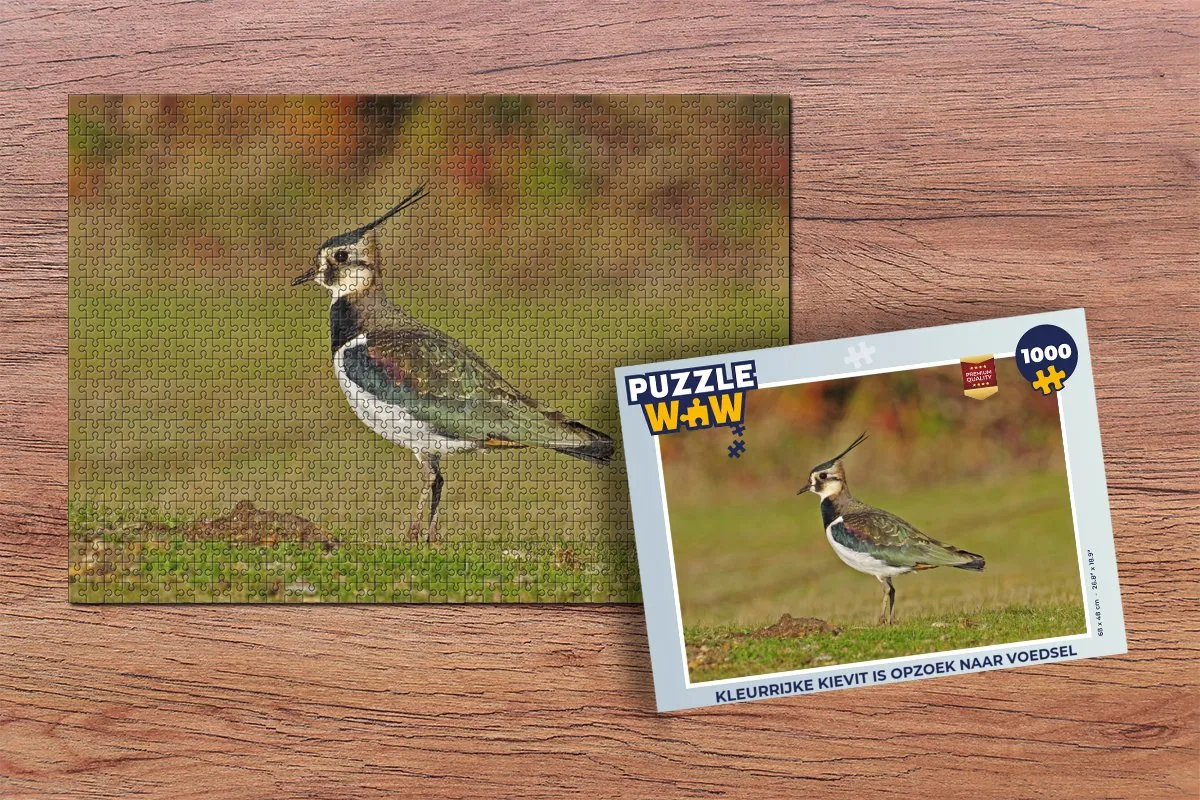 PuzzleWow Legpuzzel Kleurrijke Kievit 1000 Stuks - Multicolor