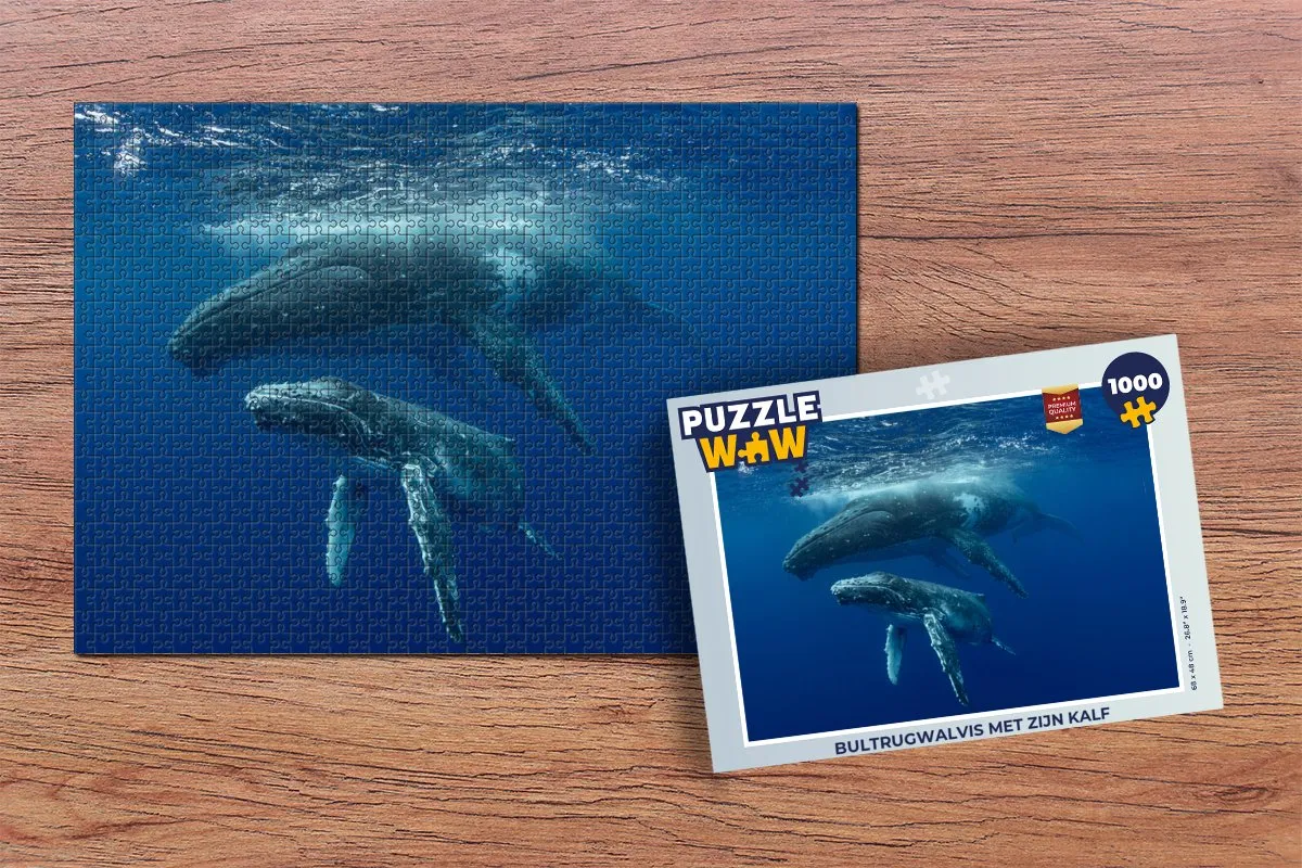 PuzzleWow Bultrugwalvis Legpuzzel 1000 Stuks - Multicolor