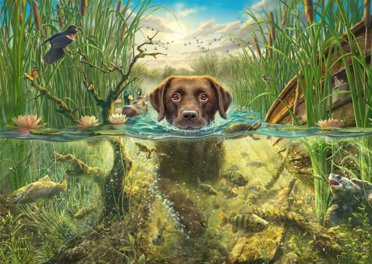 Schmidt Chocolate Labrador Zwemmend Puzzel 1000 Stuks - SCH-58572