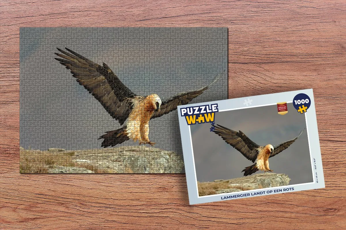 PuzzleWow Lammergier op Rots Legpuzzel 1000 Stuks - Multicolor