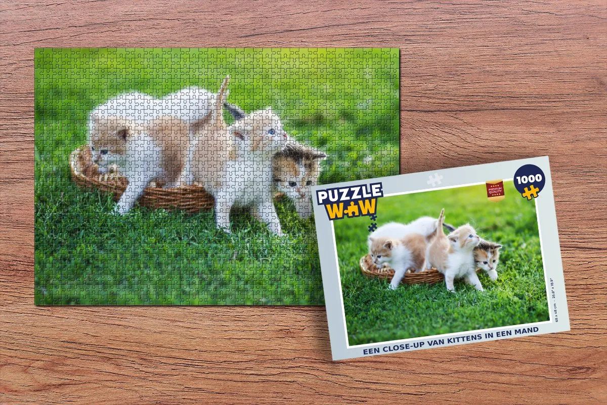 PuzzleWow Legpuzzel Kittens in Mand 1000 Stuks - Multicolor
