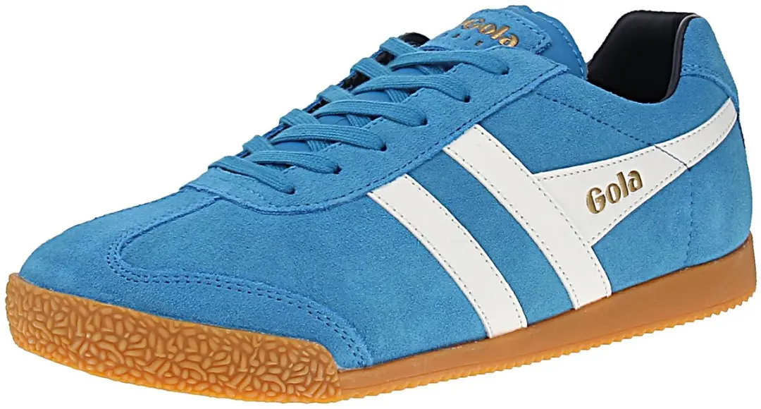Gola Harrier