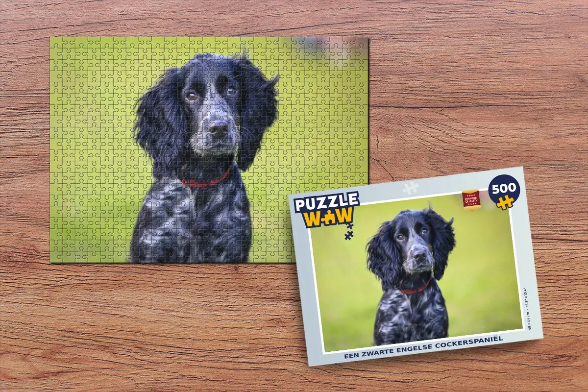 PuzzleWow Engelse Cocker Spaniel Legpuzzel 500 Stuks - Multicolor