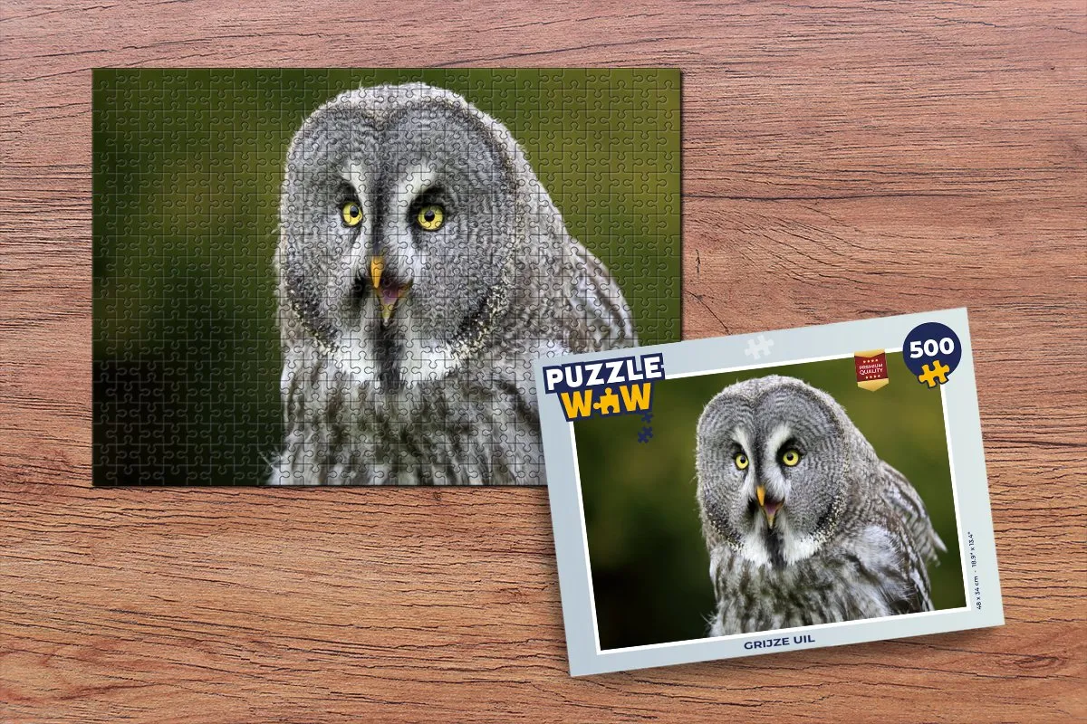 PuzzleWow Vogel Uil Legpuzzel 500 Stuks - Multicolor