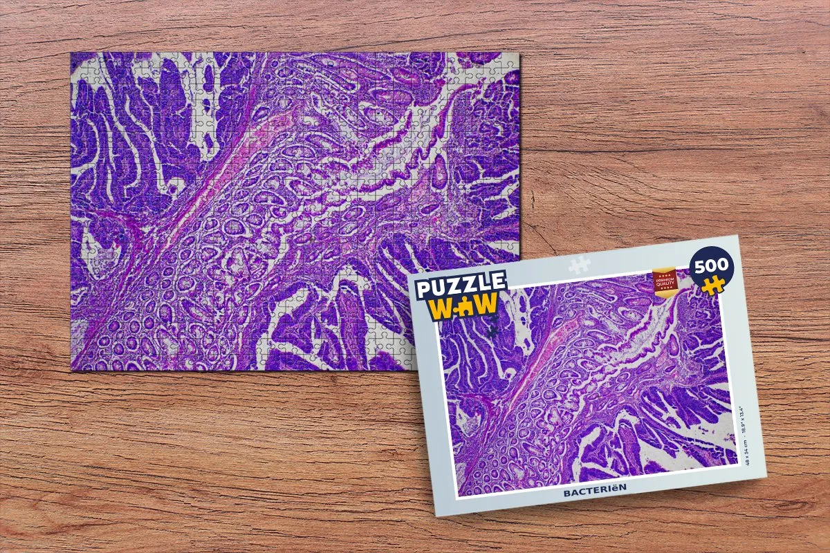 PuzzleWow Bacteriën Legpuzzel 500 Stuks - Multicolor