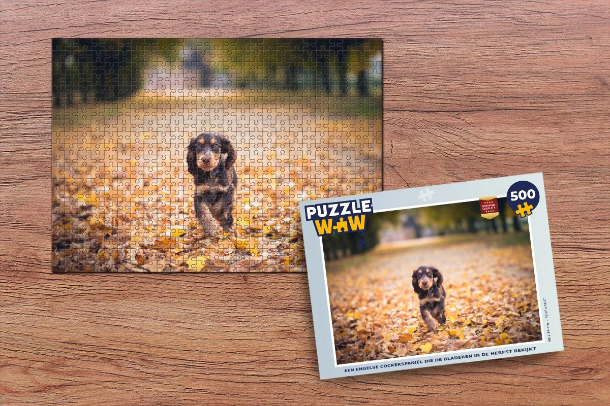 PuzzleWow Legpuzzel Een Engelse Cockerspaniël Herfst - 500 Stuks - Multicolor
