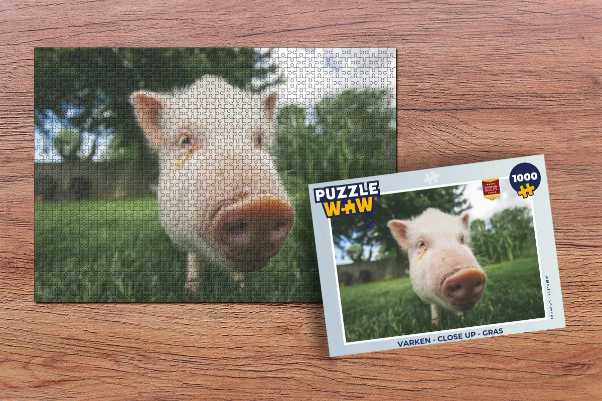 PuzzleWow Varken Close Up Legpuzzel 1000 Stuks - Multicolor