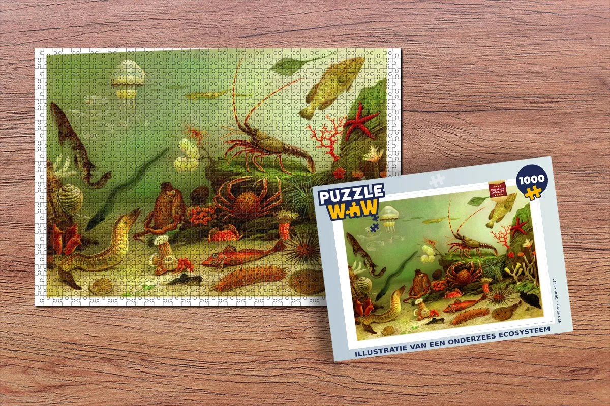 PuzzleWow Onderzees Ecosysteem Legpuzzel 1000 Stuks - Multicolor