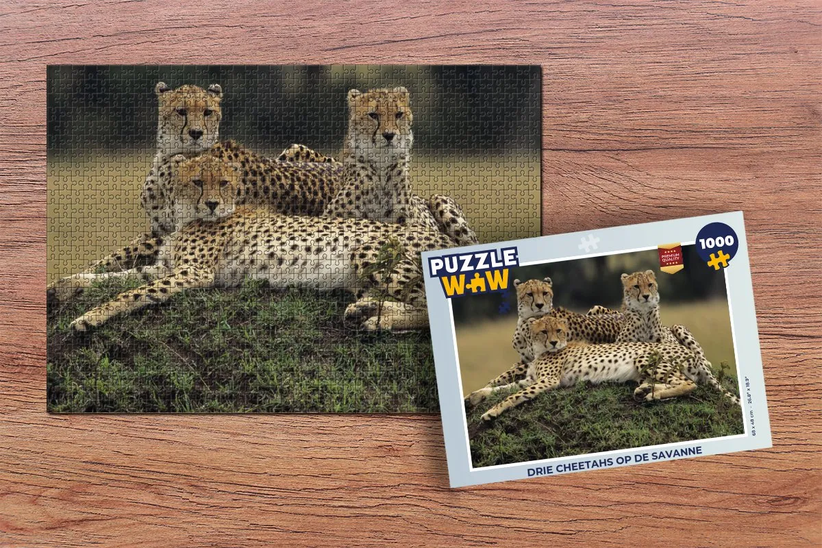 PuzzleWow Legpuzzel Drie Cheetahs 1000 Stuks - Multicolor