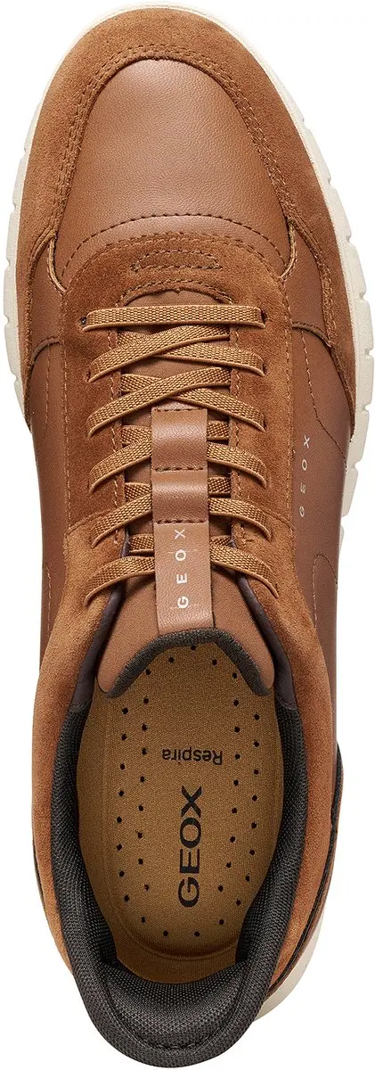 GEOX FLEXTRIDEZERO PLUS U66NEA Herensneaker - Bruin - afbeelding 2 van 6