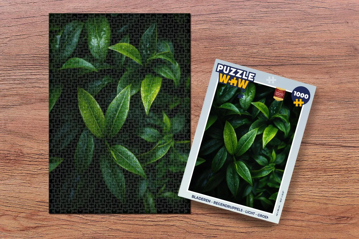 PuzzleWow Puzzel Bladeren Regendruppels 1000 Stuks - Groen