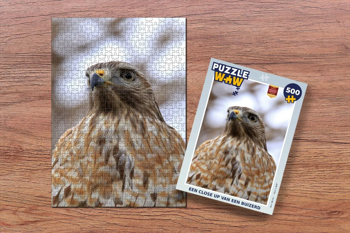 PuzzleWow Buizerd Legpuzzel 500 Stuks - Multicolor
