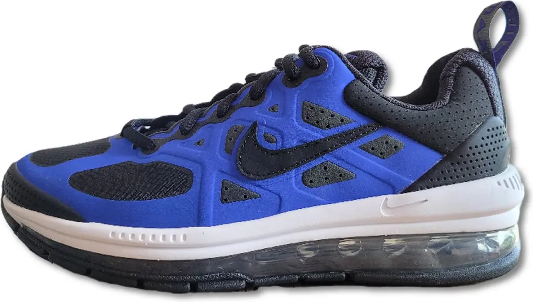 Air Max Genome (GS)