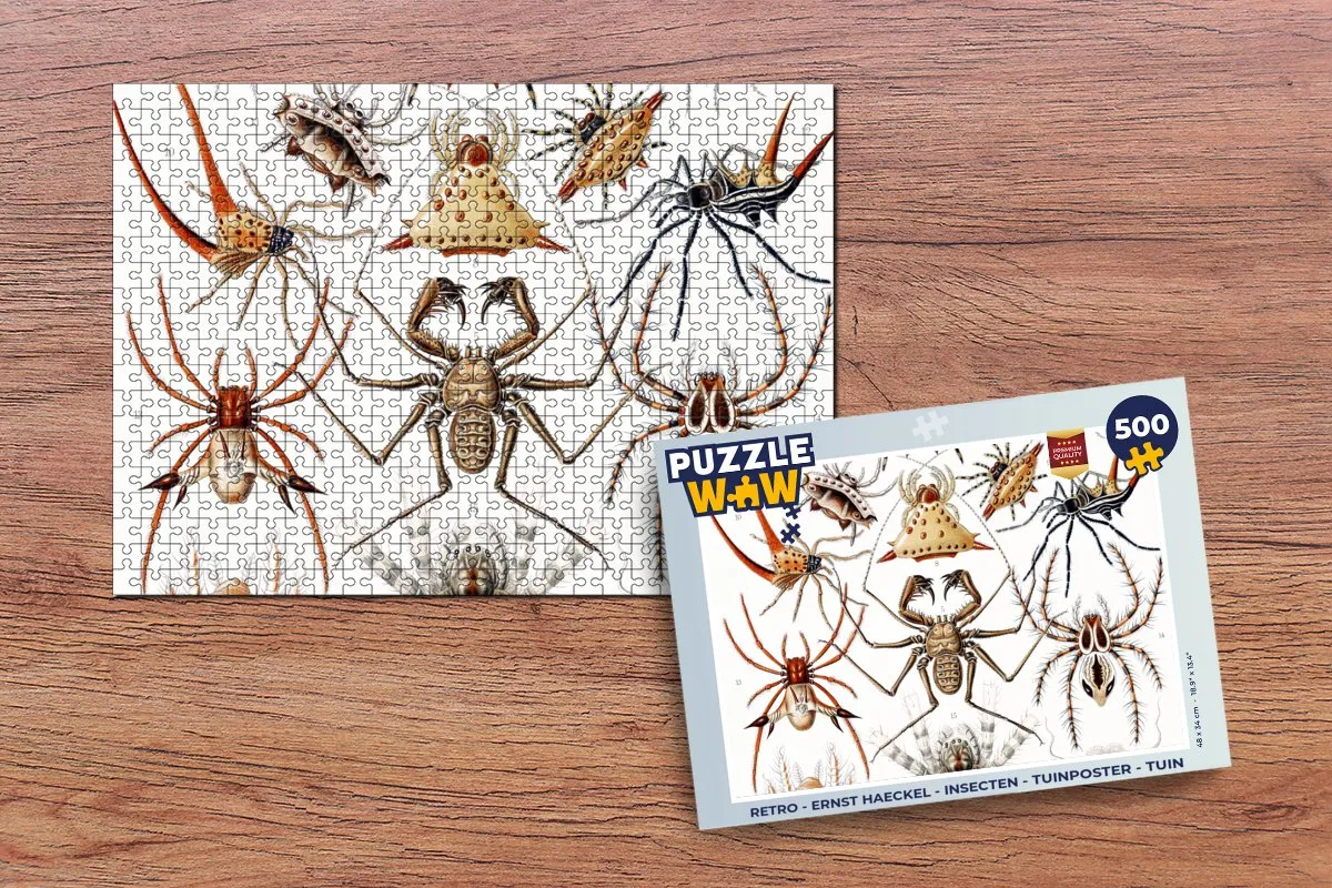 PuzzleWow Retro Spin Ernst Haeckel Legpuzzel 500 Stuks - Multicolor