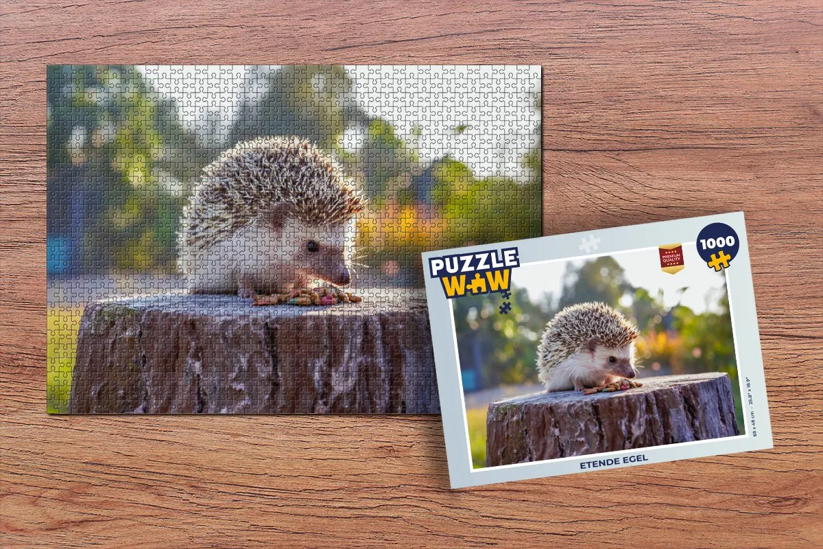 PuzzleWow Legpuzzel 1000 Stuks - Multicolor