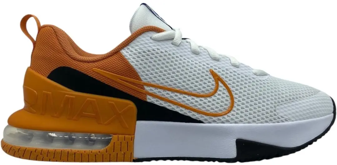 Nike Air Max Alpha Trainer 6