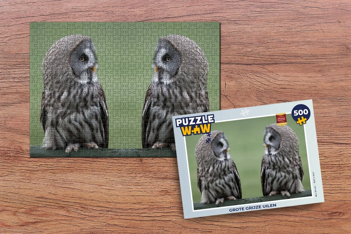 PuzzleWow Legpuzzel Grote grijze uilen 500 Stuks - Multicolor