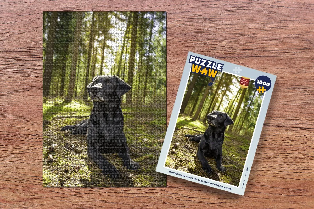 PuzzleWow Legpuzzel Zonnestralen Labrador 1000 Stuks - Multicolor