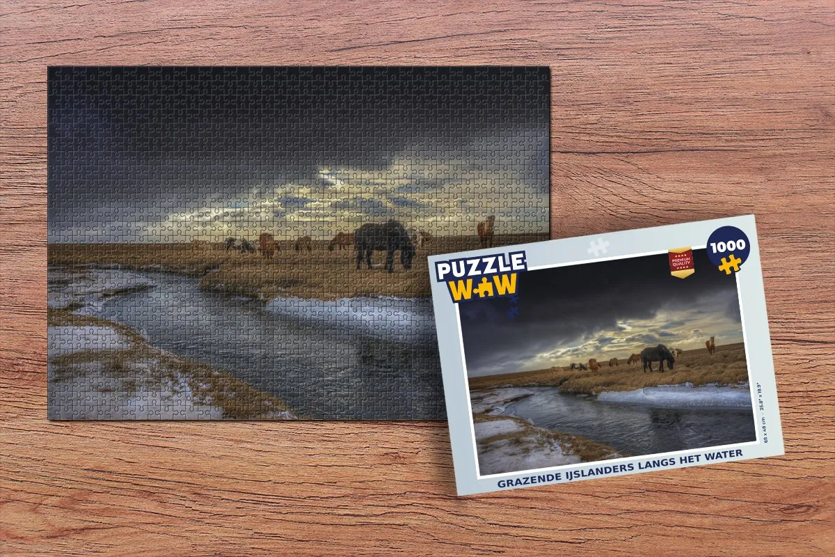 PuzzleWow Paarden IJs Gras Legpuzzel 1000 Stuks - Multicolor