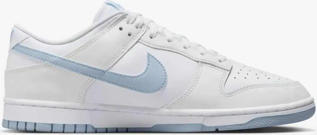 Nike Dunk Low Retro