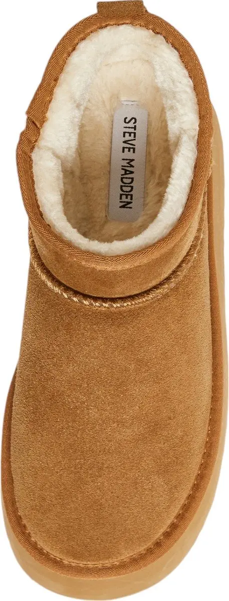 Steve Madden Campfire Bootie Dames Ankle Boots - Bruin