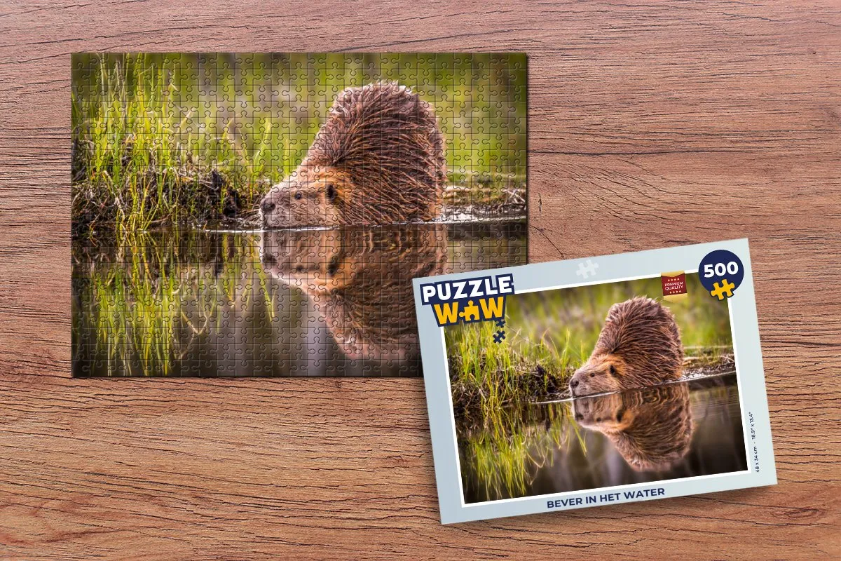 PuzzleWow Bever in het water Legpuzzel 500 Stuks - Multicolor