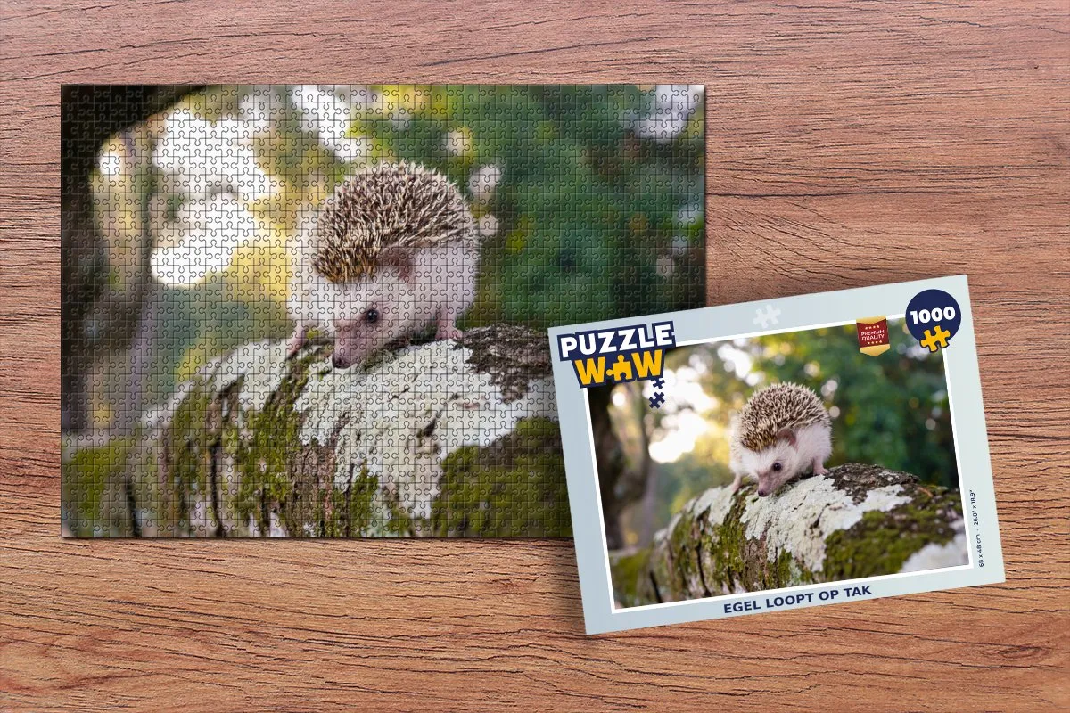 PuzzleWow Legpuzzel 1000 Stuks
