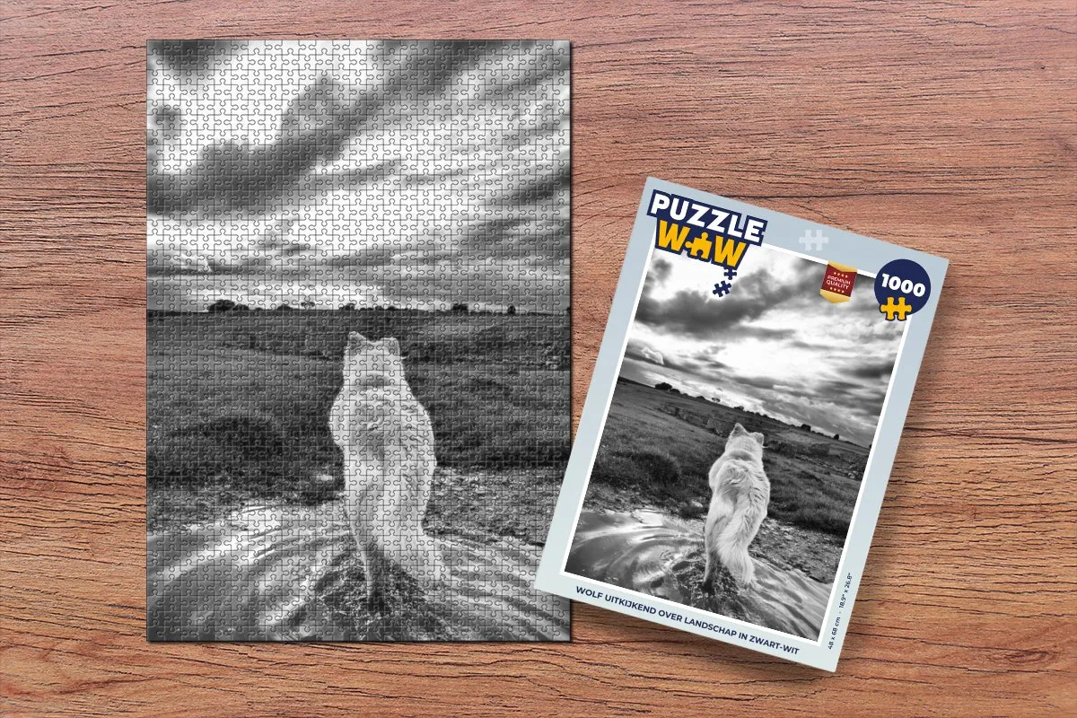 PuzzleWow Legpuzzel 1000 Stuks - Uitkijkend Landschap - Multicolor