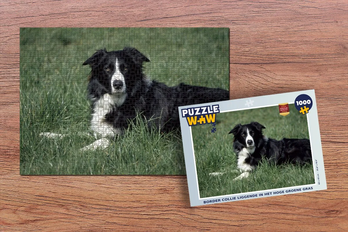 PuzzleWow Legpuzzel Border Collie 1000 Stuks - Multicolor