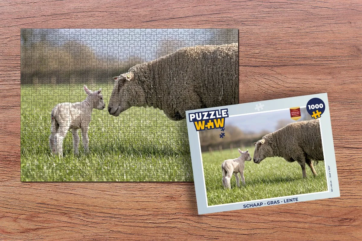 PuzzleWow Legpuzzel Schaap - Gras - Lente 1000 Stuks - Multicolor