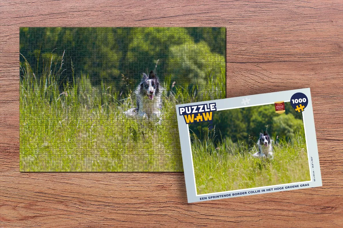 PuzzleWow Legpuzzel Sprintende Border Collie 1000 Stuks - Multicolor