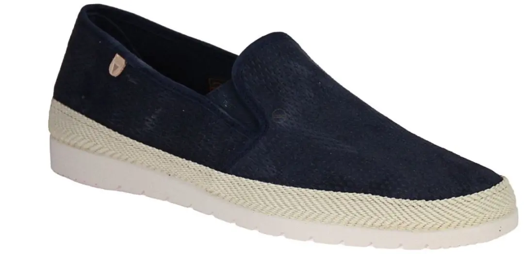 Verbenas Boris Blauwe Moccasin