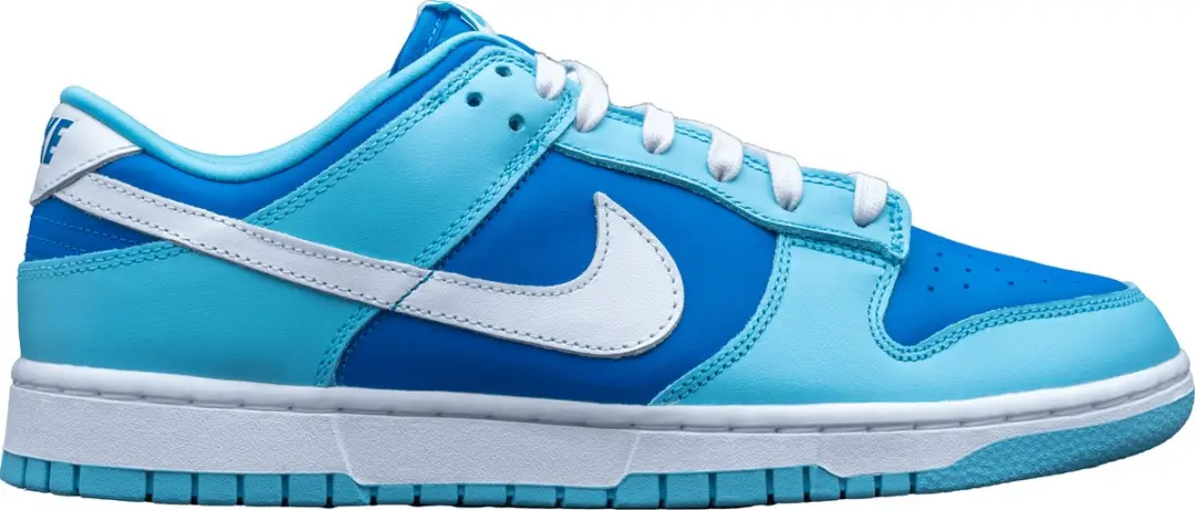 Nike Dunk Low Retro QS Argon (2022)