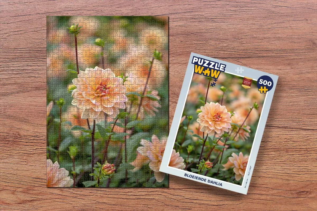 PuzzleWow Bloeiende Dahlia Legpuzzel 500 Stuks - Multicolor