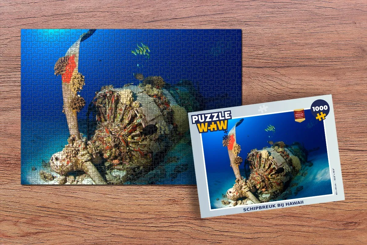 PuzzleWow Schipbreuk bij Hawaii Legpuzzel 1000 Stuks - Multicolor