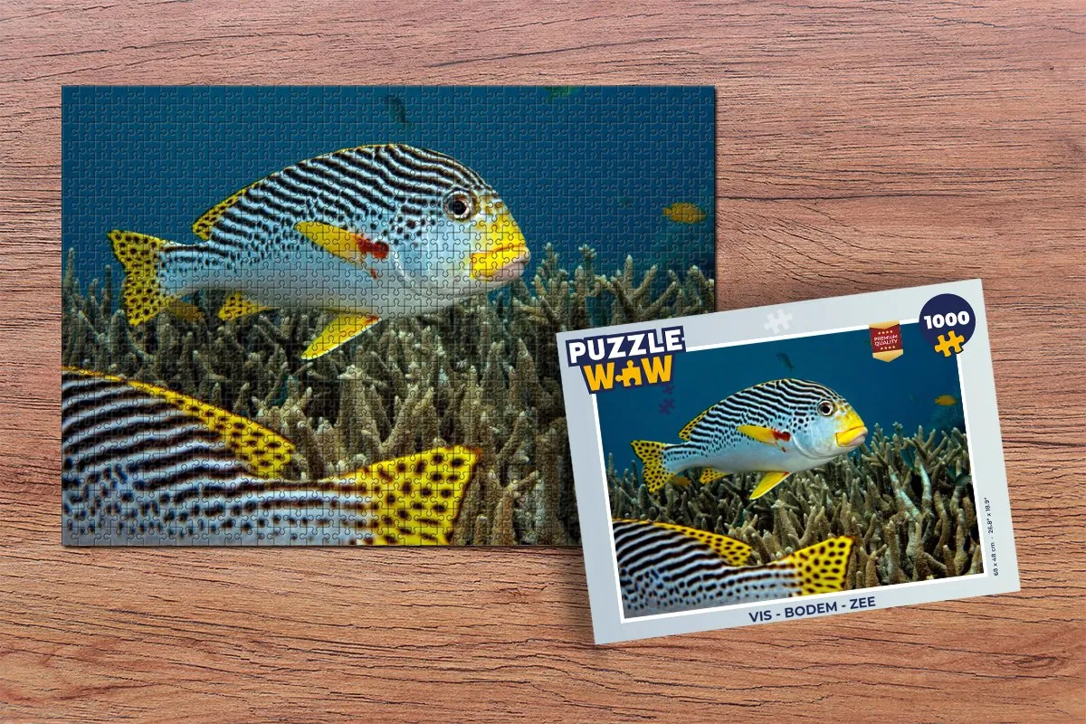 PuzzleWow Vis Bodem Zee Legpuzzel 1000 Stuks - Multicolor