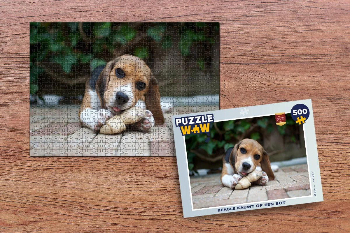 PuzzleWow Legpuzzel Beagle kauwt op een bot 500 Stuks - Multicolor