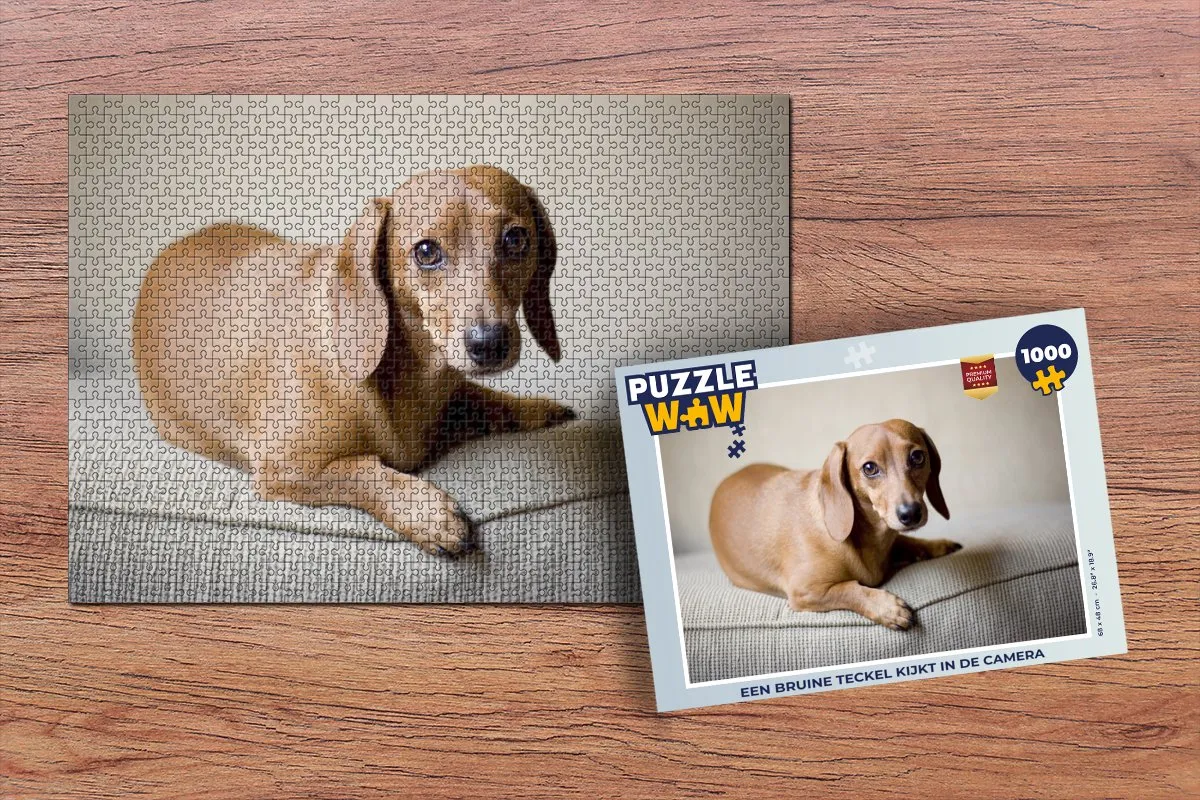 PuzzleWow Legpuzzel Een bruine Teckel 1000 Stuks - Multicolor