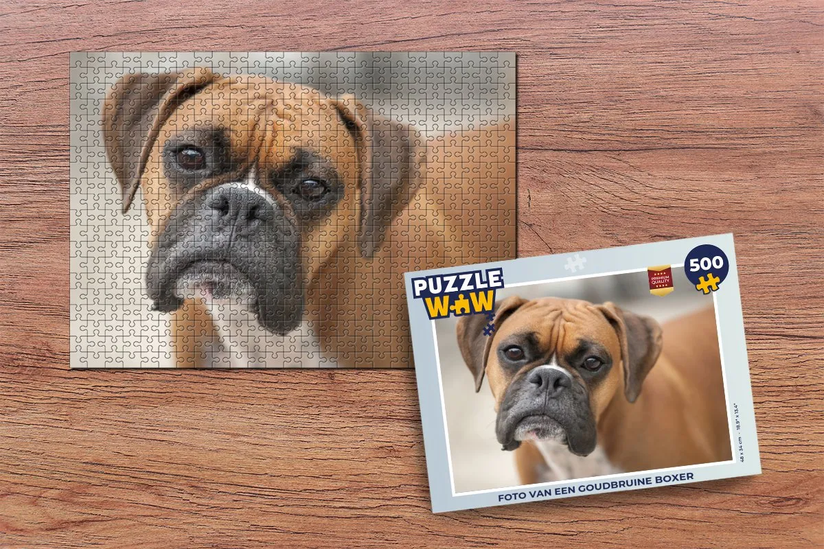 PuzzleWow Legpuzzel Boxer 500 Stuks - Multicolor
