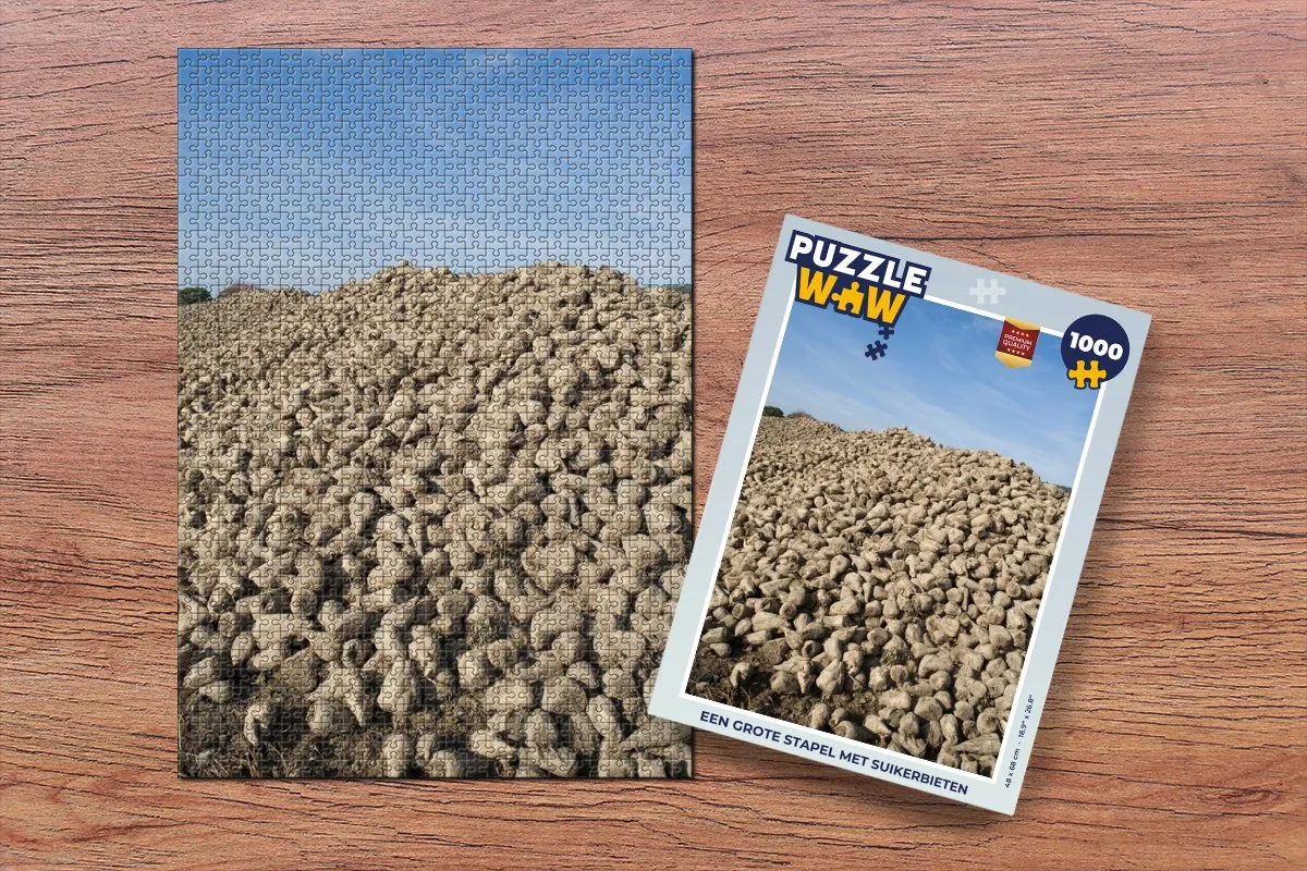 PuzzleWow Legpuzzel 1000 Stuks - Multicolor