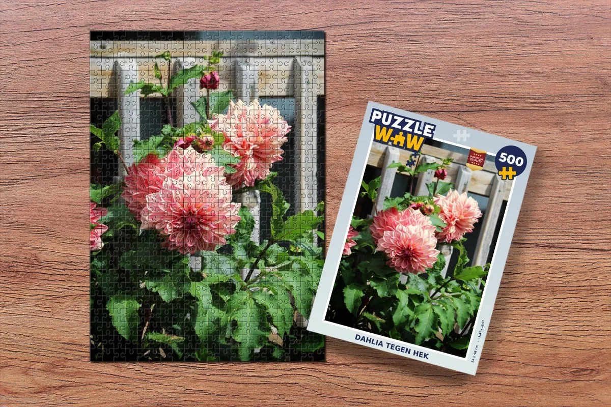 PuzzleWow Dahlia tegen hek Legpuzzel 500 Stuks - Multicolor