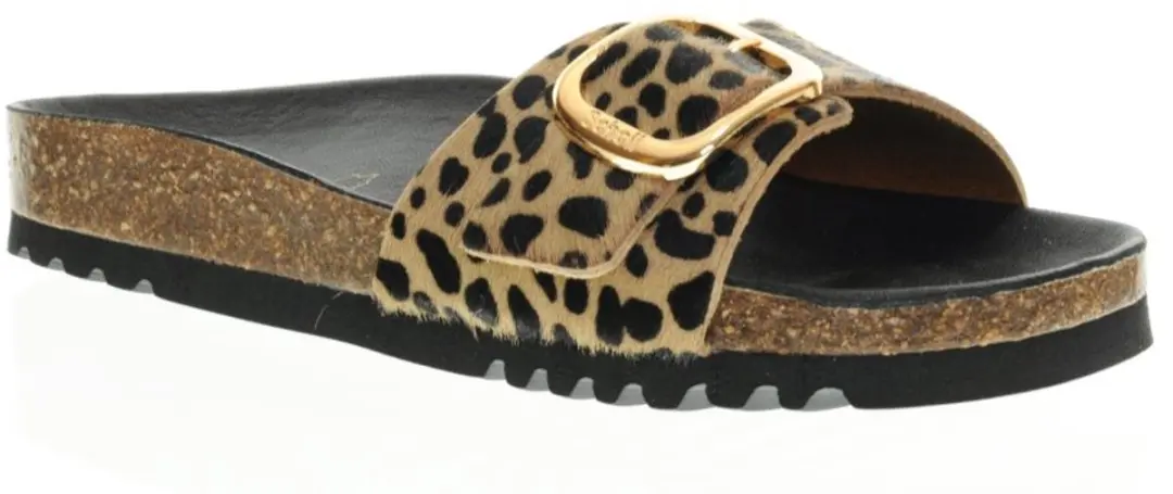 Scholl Khatleen Sandalen 1 Riem Leer Vrouwen