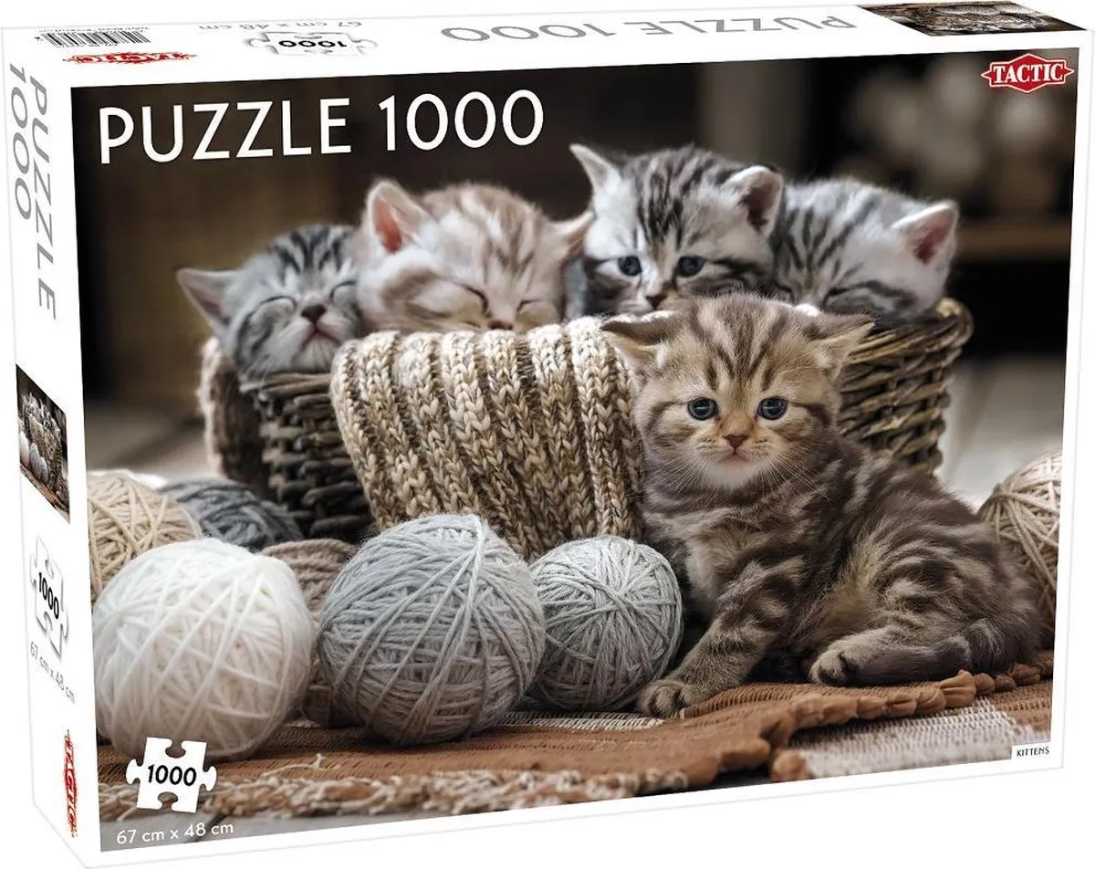 Tactic Cute Kittens Puzzel 1000 Stuks