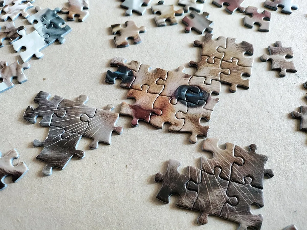 Tactic Cute Kittens Puzzel 1000 Stuks - Multicolor