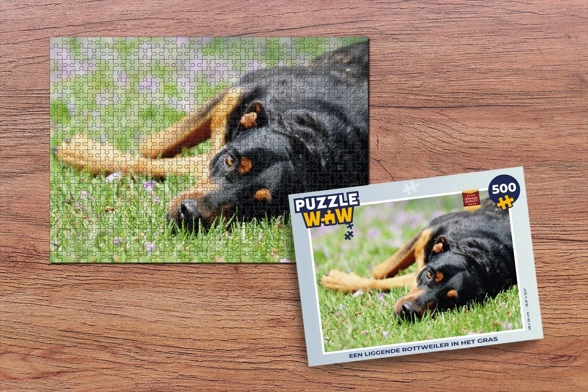 PuzzleWow Legpuzzel Rottweiler 500 Stuks - Multicolor